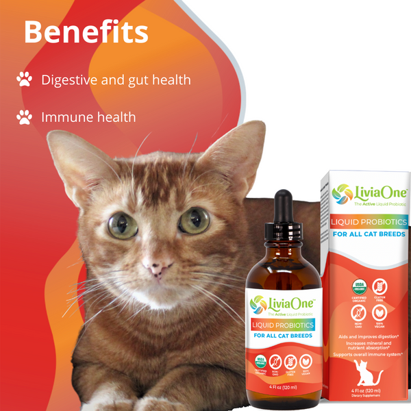 Livia BioLife Cat Liquid Probiotics Livia Global