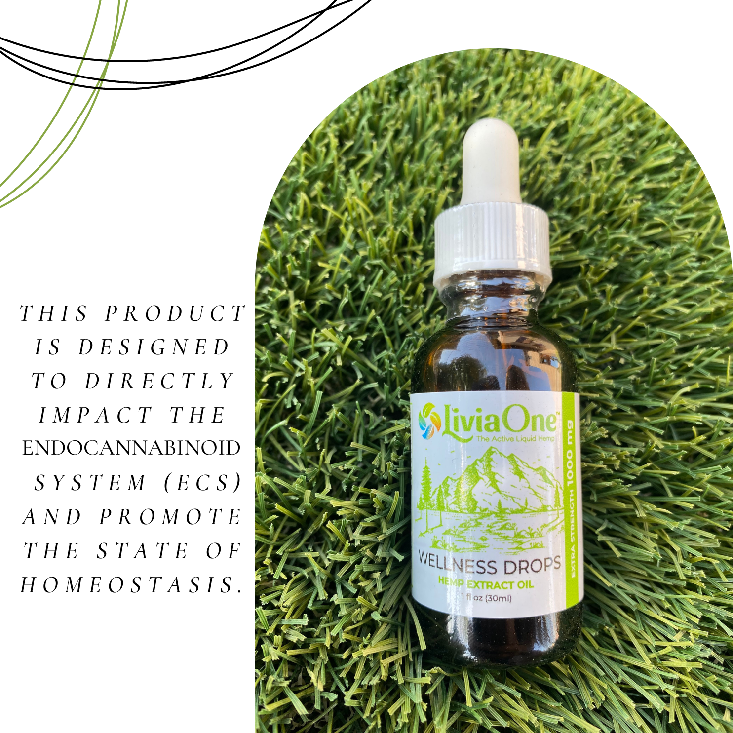 LiviaOne™ Wellness Drops 1000 mg Raw Hemp