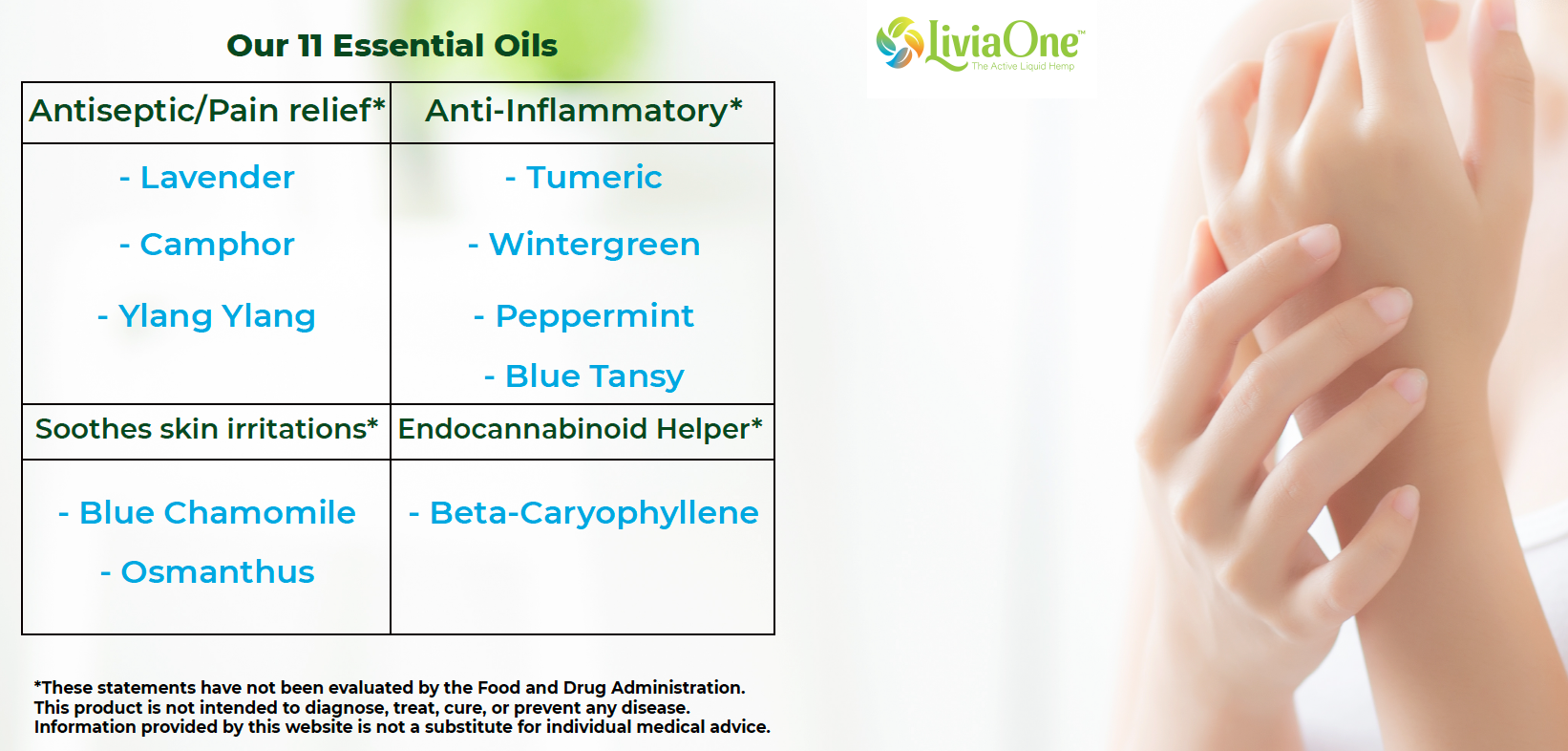 LiviaOne™ CANABLISS HEMP EXTRACT BALM - 1000mg