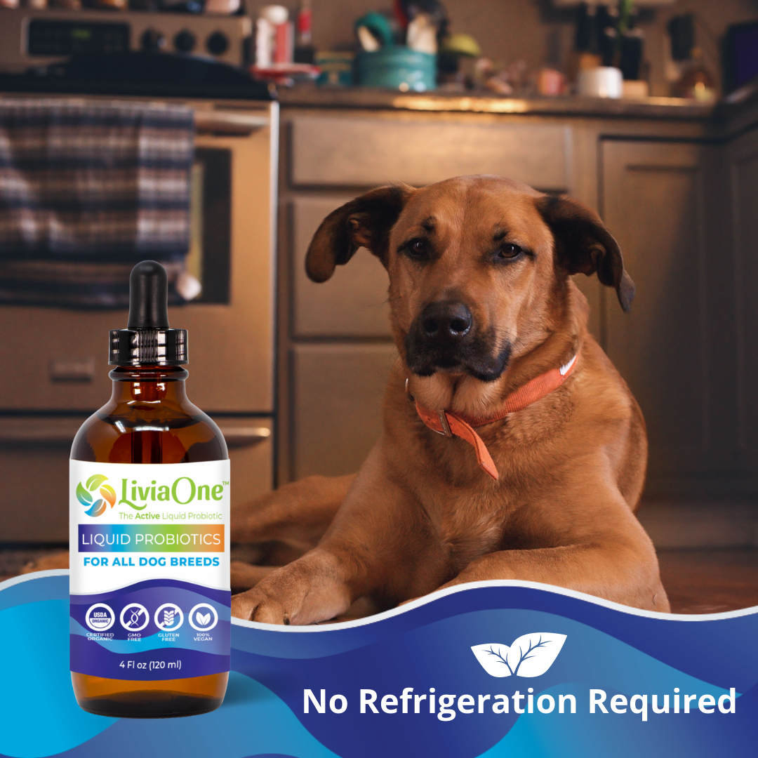 BioLifePet Liquid Probiotics for Dogs - 4 oz