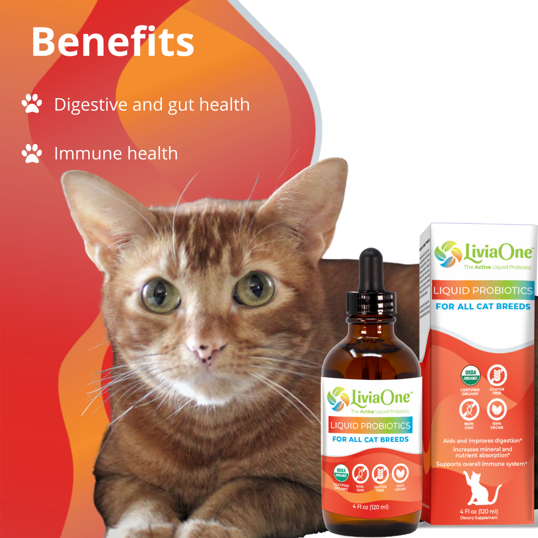 Liquid probiotics for cats on sale